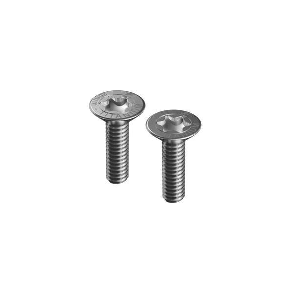 M8-25MM TITANIUM SCREWS